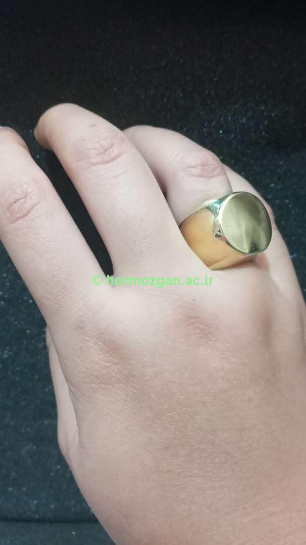 نمونه کار بانوی رتبه اول/ فرزانه مسجدی