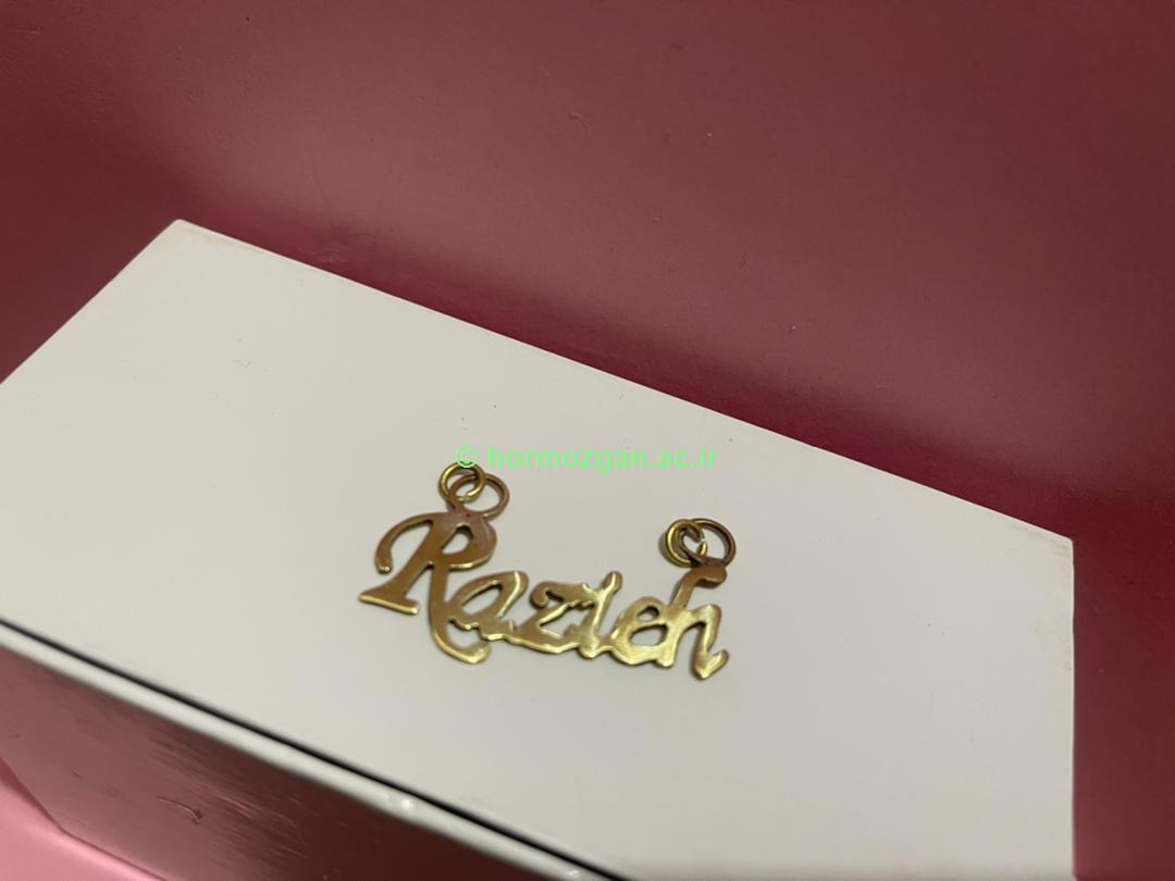 نمونه کار بانوی رتبه اول/ فرزانه مسجدی